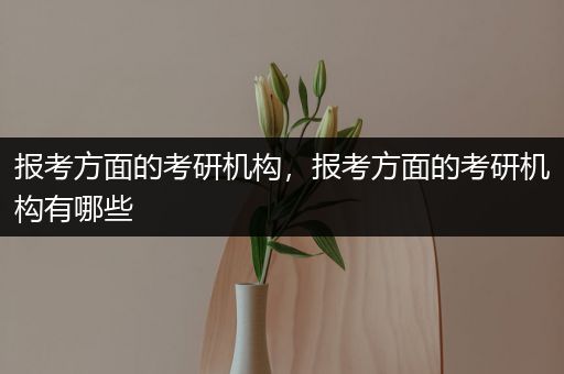 报考方面的考研机构，报考方面的考研机构有哪些