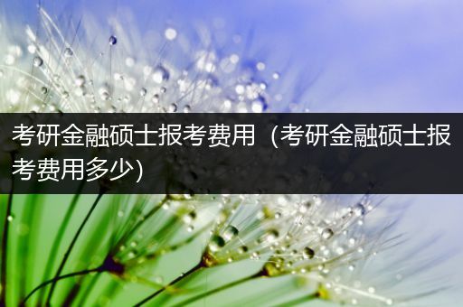 考研金融硕士报考费用（考研金融硕士报考费用多少）