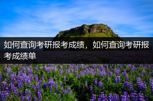 如何查询考研报考成绩，如何查询考研报考成绩单