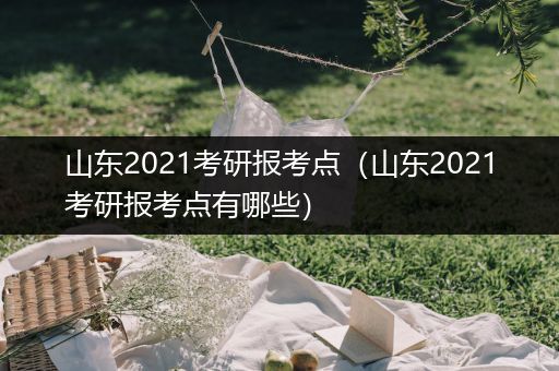 山东2021考研报考点（山东2021考研报考点有哪些）