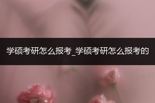 学硕考研怎么报考_学硕考研怎么报考的