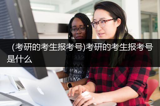 （考研的考生报考号)考研的考生报考号是什么