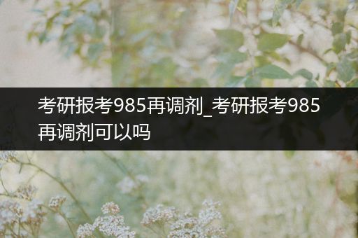 考研报考985再调剂_考研报考985再调剂可以吗