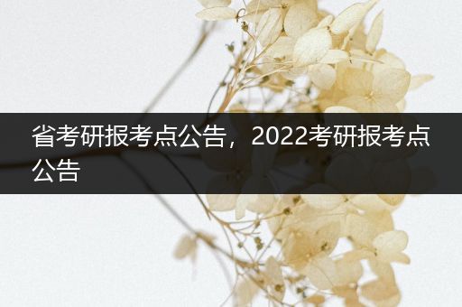 省考研报考点公告，2022考研报考点公告