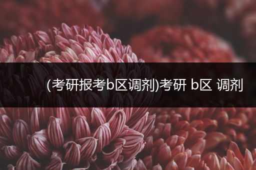 （考研报考b区调剂)考研 b区 调剂