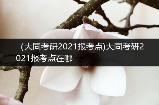 （大同考研2021报考点)大同考研2021报考点在哪