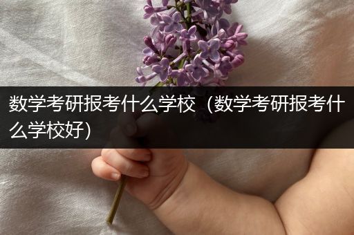 数学考研报考什么学校（数学考研报考什么学校好）