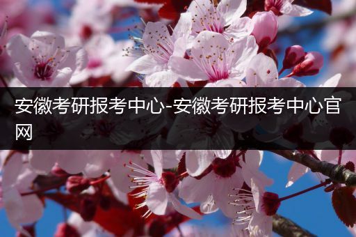 安徽考研报考中心-安徽考研报考中心官网