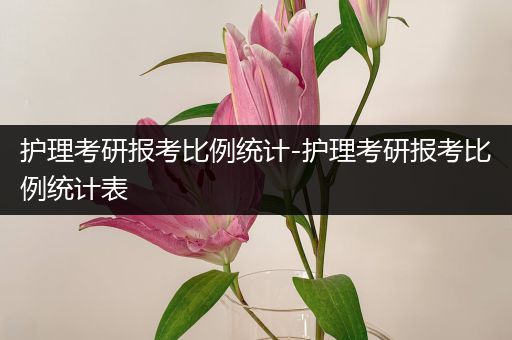 护理考研报考比例统计-护理考研报考比例统计表