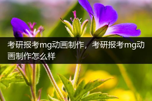 考研报考mg动画制作，考研报考mg动画制作怎么样