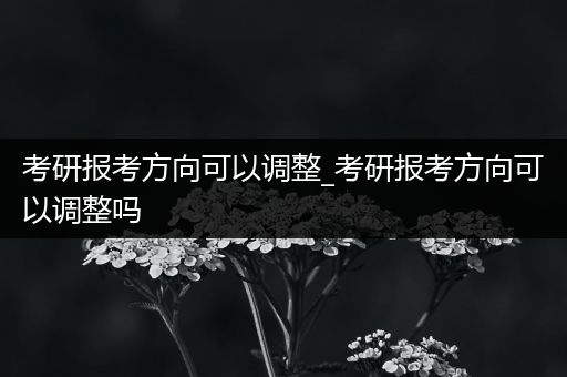 考研报考方向可以调整_考研报考方向可以调整吗