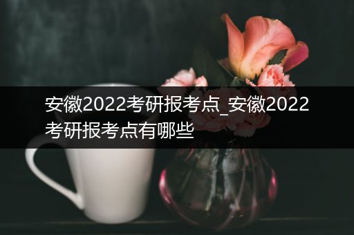 安徽2022考研报考点_安徽2022考研报考点有哪些