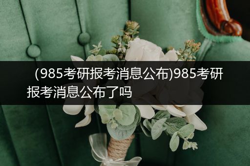 （985考研报考消息公布)985考研报考消息公布了吗