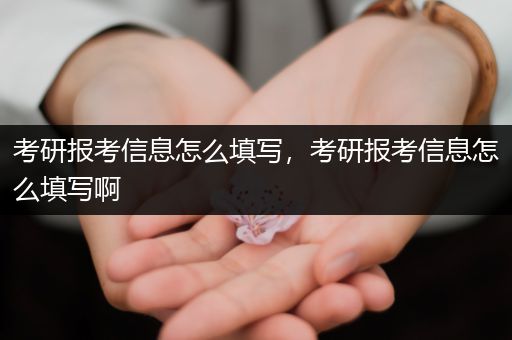 考研报考信息怎么填写，考研报考信息怎么填写啊