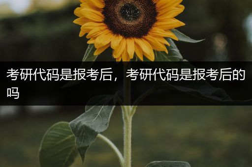 考研代码是报考后，考研代码是报考后的吗