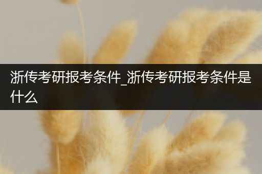 浙传考研报考条件_浙传考研报考条件是什么