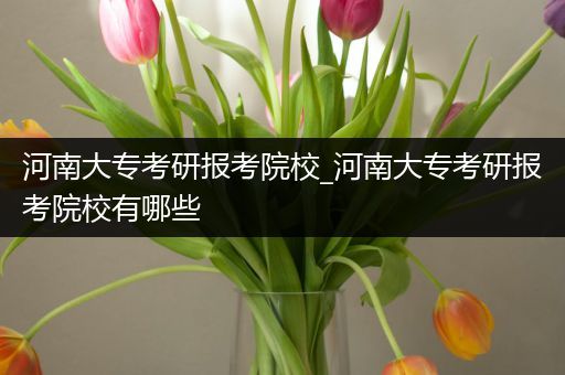 河南大专考研报考院校_河南大专考研报考院校有哪些