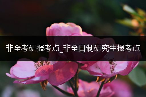 非全考研报考点_非全日制研究生报考点