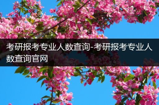 考研报考专业人数查询-考研报考专业人数查询官网