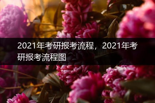 2021年考研报考流程，2021年考研报考流程图