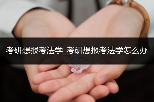 考研想报考法学_考研想报考法学怎么办