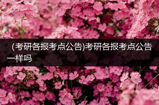 （考研各报考点公告)考研各报考点公告一样吗