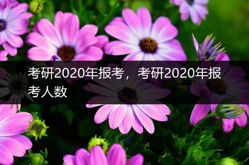 考研2020年报考，考研2020年报考人数