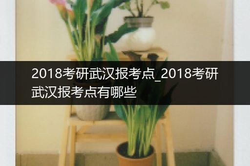 2018考研武汉报考点_2018考研武汉报考点有哪些