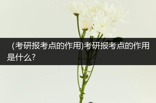 （考研报考点的作用)考研报考点的作用是什么?