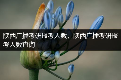 陕西广播考研报考人数，陕西广播考研报考人数查询
