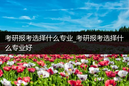 考研报考选择什么专业_考研报考选择什么专业好