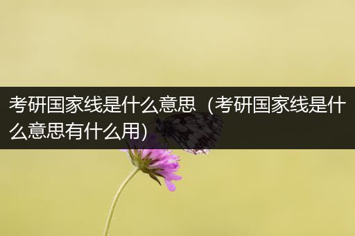考研国家线是什么意思（考研国家线是什么意思有什么用）