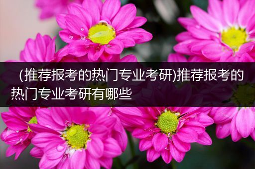 （推荐报考的热门专业考研)推荐报考的热门专业考研有哪些