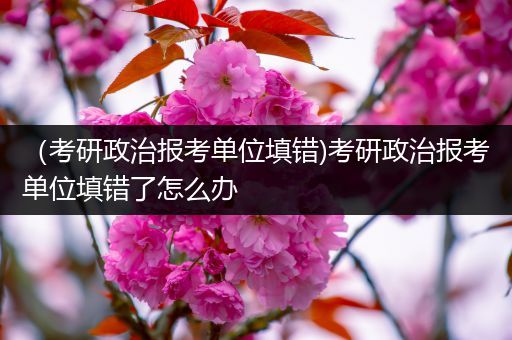 （考研政治报考单位填错)考研政治报考单位填错了怎么办