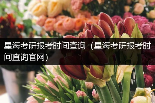 星海考研报考时间查询（星海考研报考时间查询官网）
