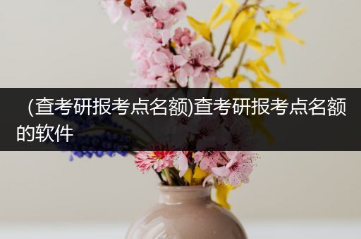 （查考研报考点名额)查考研报考点名额的软件