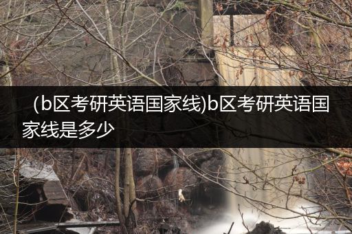 （b区考研英语国家线)b区考研英语国家线是多少