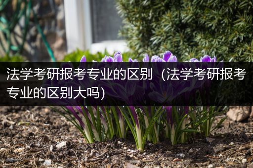 法学考研报考专业的区别（法学考研报考专业的区别大吗）