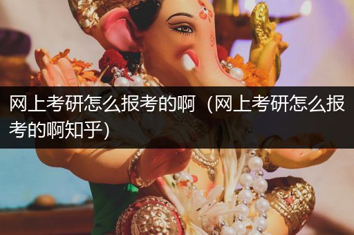 网上考研怎么报考的啊（网上考研怎么报考的啊知乎）