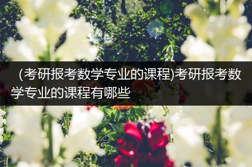 （考研报考数学专业的课程)考研报考数学专业的课程有哪些