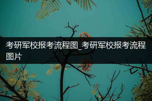 考研军校报考流程图_考研军校报考流程图片