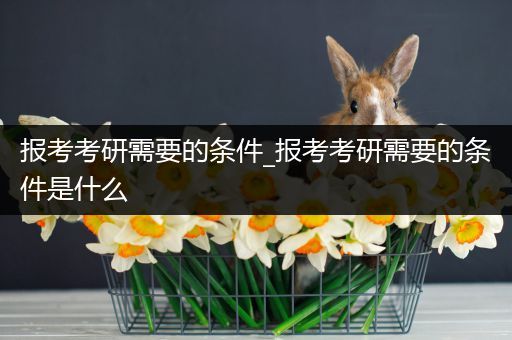报考考研需要的条件_报考考研需要的条件是什么