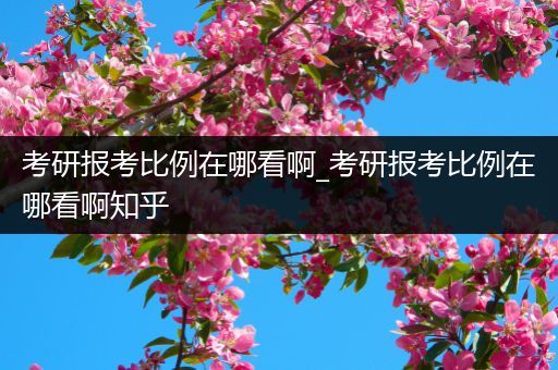 考研报考比例在哪看啊_考研报考比例在哪看啊知乎