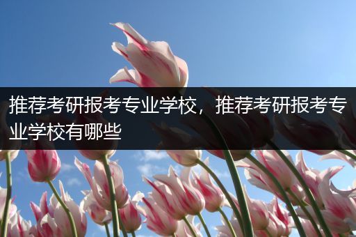 推荐考研报考专业学校，推荐考研报考专业学校有哪些