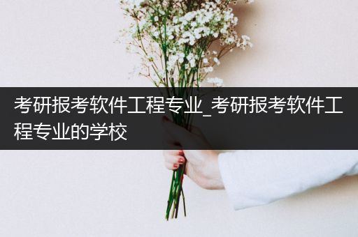 考研报考软件工程专业_考研报考软件工程专业的学校