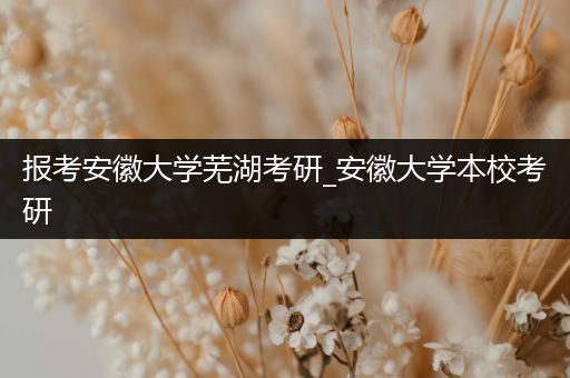报考安徽大学芜湖考研_安徽大学本校考研