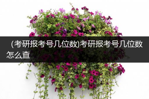 （考研报考号几位数)考研报考号几位数怎么查