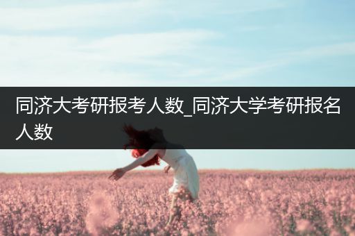 同济大考研报考人数_同济大学考研报名人数