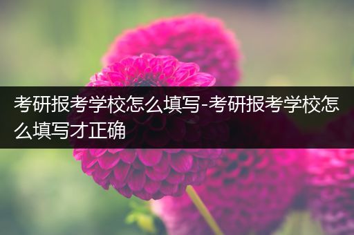 考研报考学校怎么填写-考研报考学校怎么填写才正确