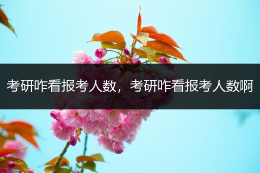 考研咋看报考人数，考研咋看报考人数啊